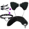Cosplay BDSM Renard E-Girl